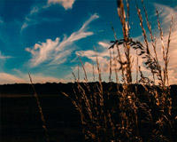 ddos攻击ip软件下载