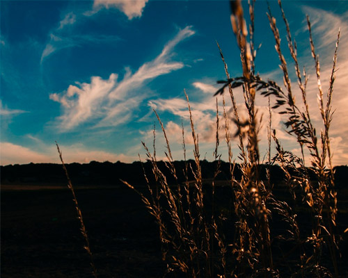 免费DDOS攻击测试工具